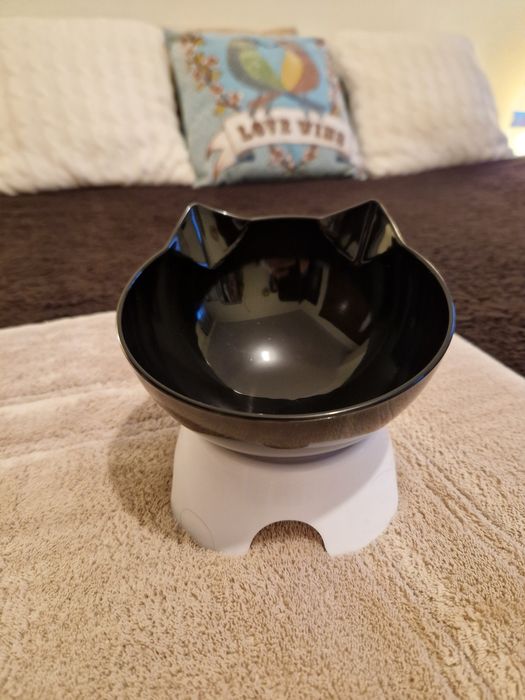 Tigela alimentação gatinhos