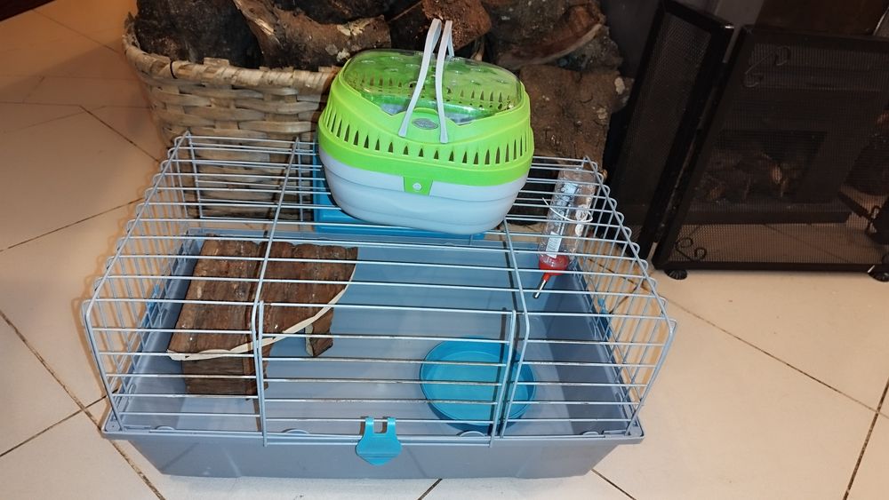 Gaiola para Porquinho da Índia