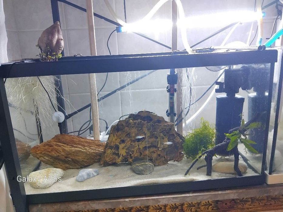 Aquario completo