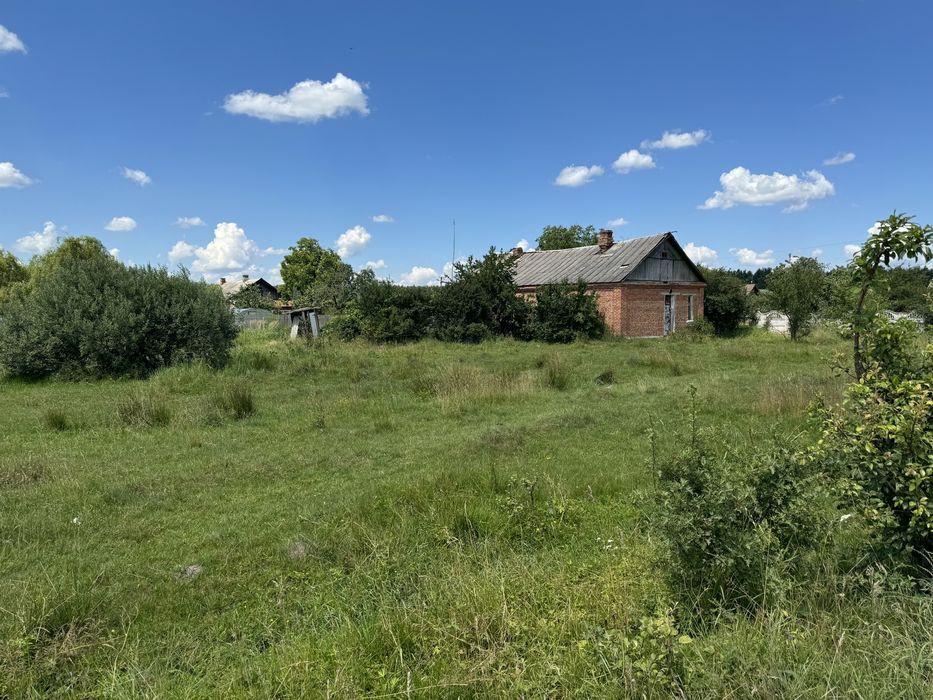 Продаж приватизованої ділянки в центрі с.Тетерівка (26136566)