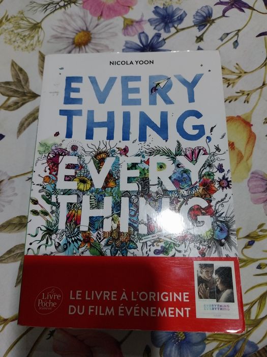 Every thing Every thing ( francês). Portes incluídos