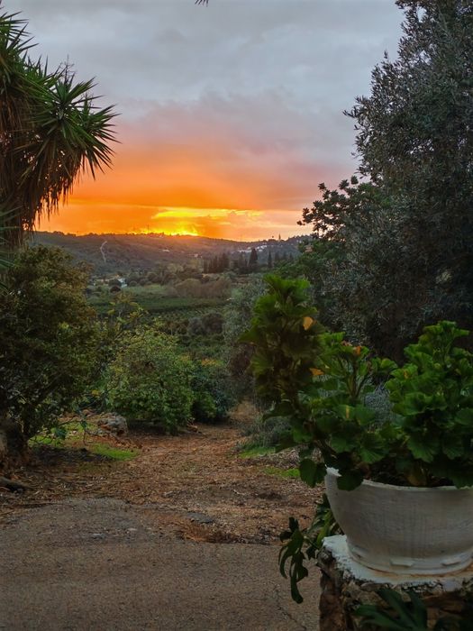 Moradia V4 com 163 M2 e terreno agrícola  com 11.100m2