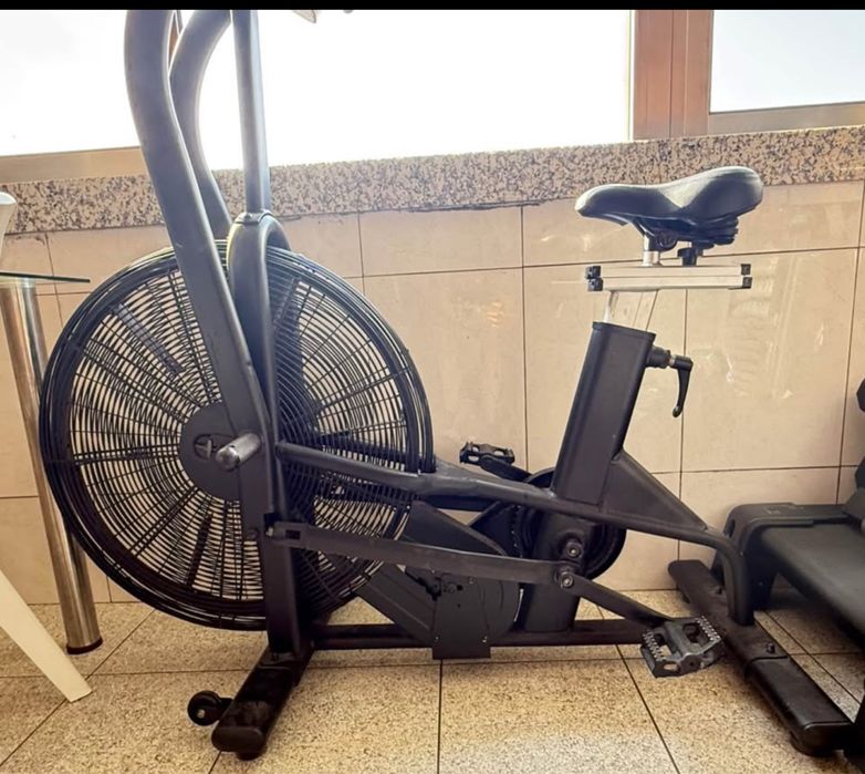 Air bike profissional