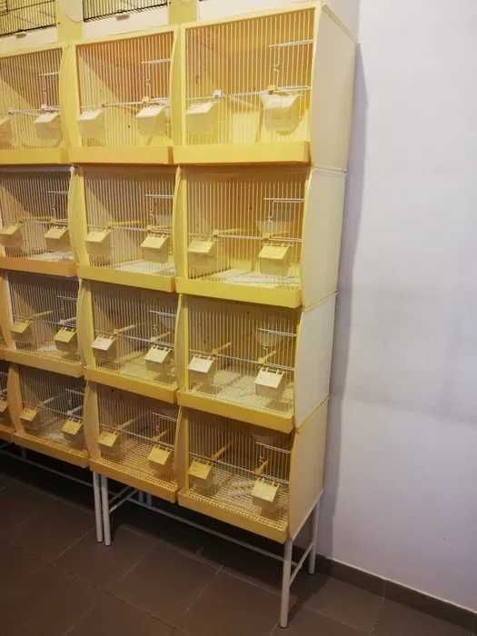 Rodapés para Viveiros de Plástico "EX"