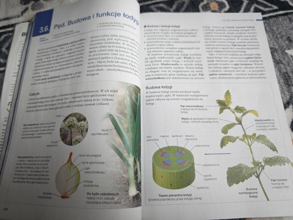 Biologia na czasie 2