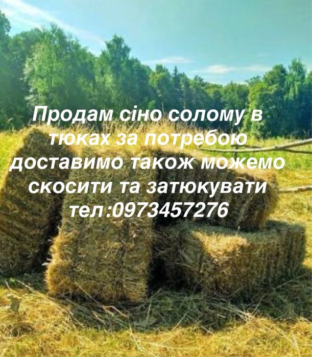 Сіно солома в тюках