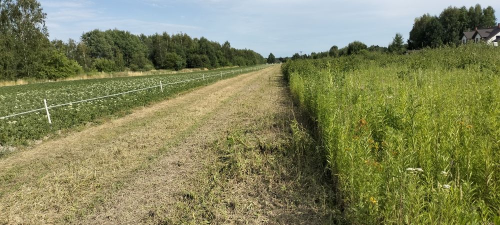 Koszenie działek kosiarką bijakową.