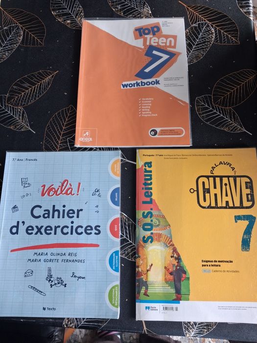 Cadernos de atividades 7° ano