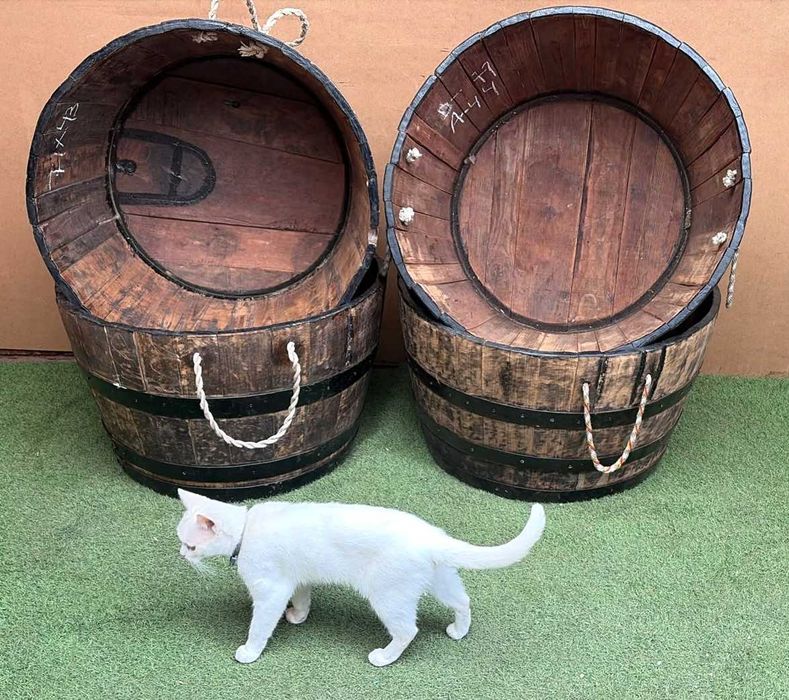 Celhas antigas em madeira, floreira, vasos, caixas