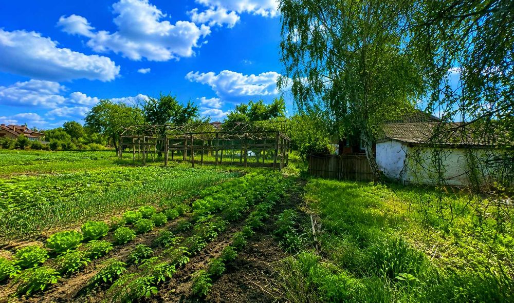 Продам будинок Дударків ‼️ Княжичі Бориспільський район 42 сотки