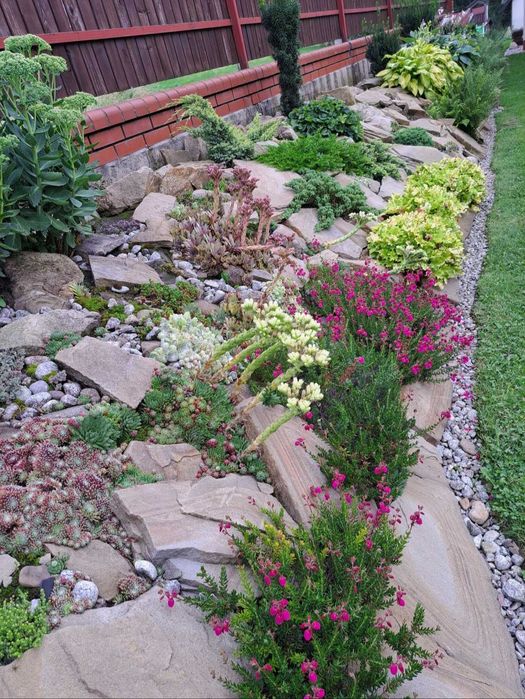 Zakładanie ogrodów i nasadzenia/Prace mini-koparką/Pielęgnacja roślin