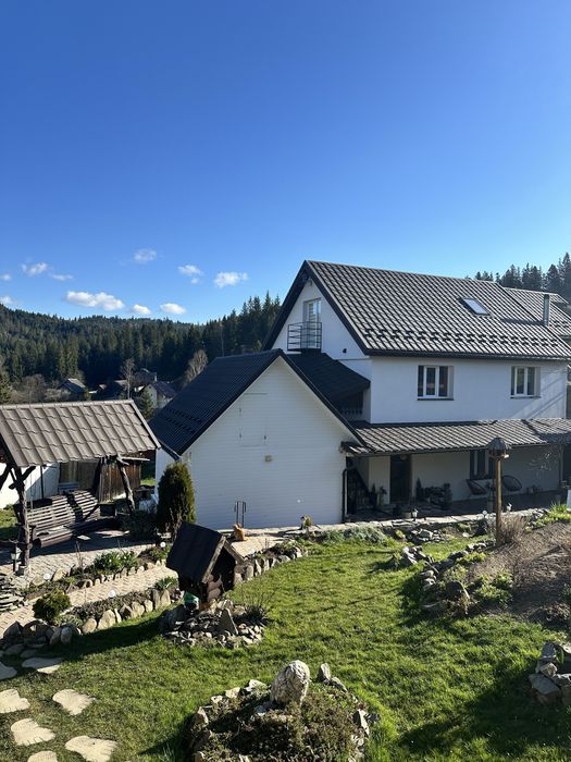 Будинок в Карпатах