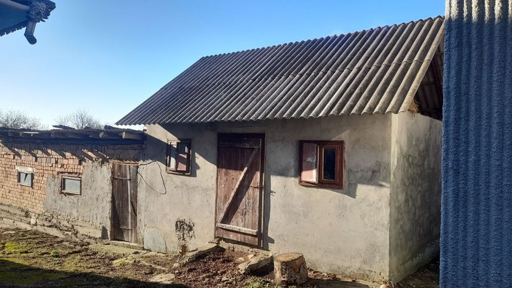 Продам два господарства за ціною одного. Дивіться фото всі