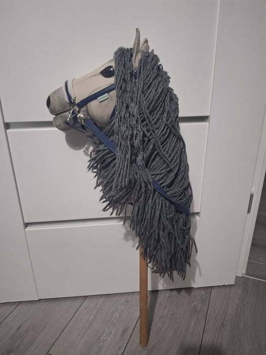 Hobby horse (konik na kiju)