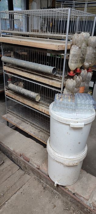 Klatki dla przepiórek,  poidełka, karmniki