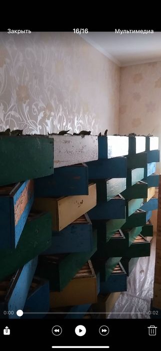 Продажа пчел, инвентарь