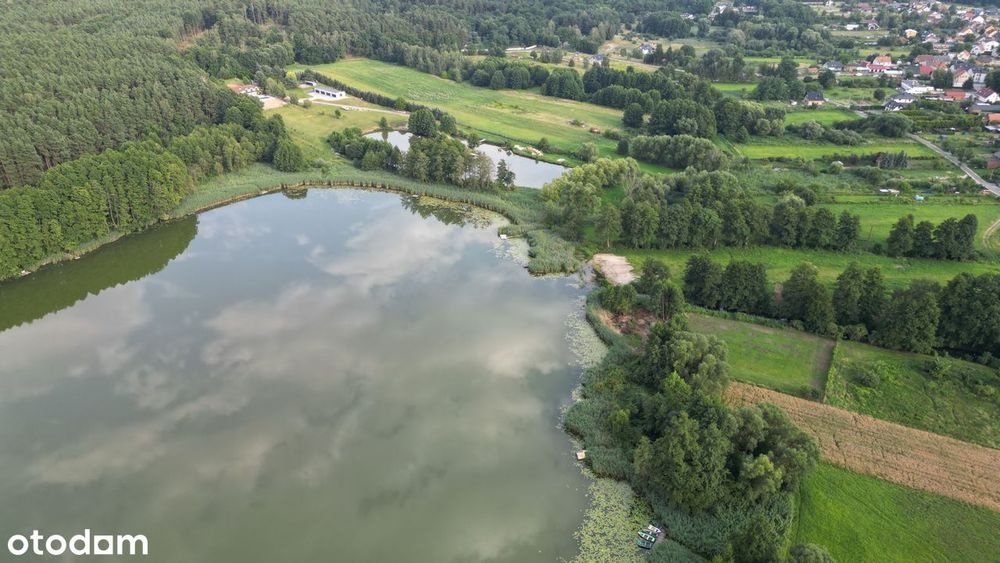 Działka w pierwszej linii brzegowej jeziora - 1,41 ha / Lubrza - Widok 5