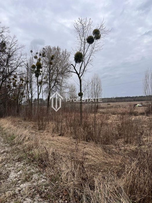 Продаж земельної ділянки фасад 2 га с.Гнідин