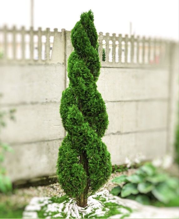 Професійний догляд за садом та територією | Швидко та якісно