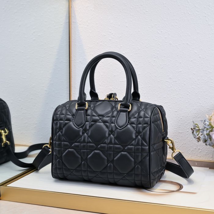 DIR Жіноча сумка Louis Vuitton