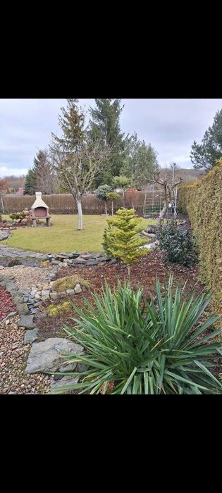 Działka rekreacyjna