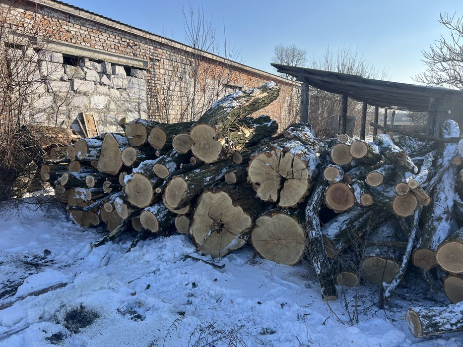 Дрова!! Сосна! Дуб!! Акація!!Обзел!!