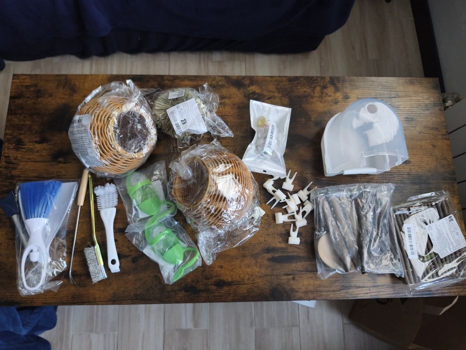 Kanarki zółte(samiec Francesco i samica Miriam)