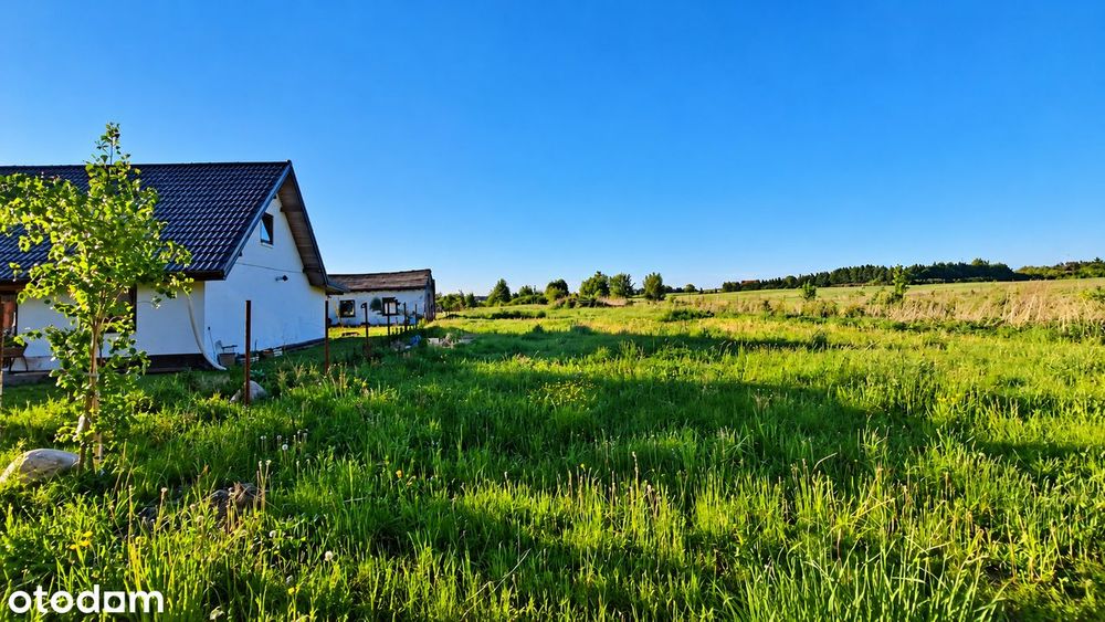 Działka budowlana | Rogity | 3180m²| NOWA NIŻSZA CENA!!!