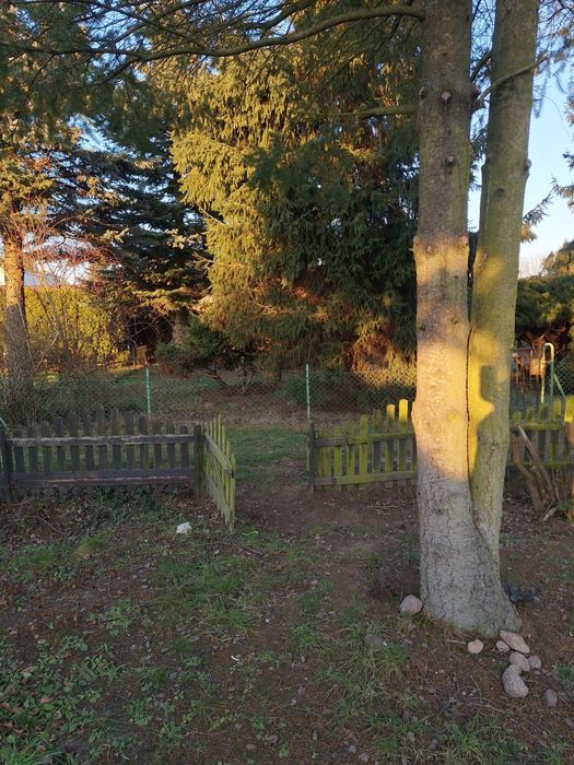 Sprzedam działke ROD