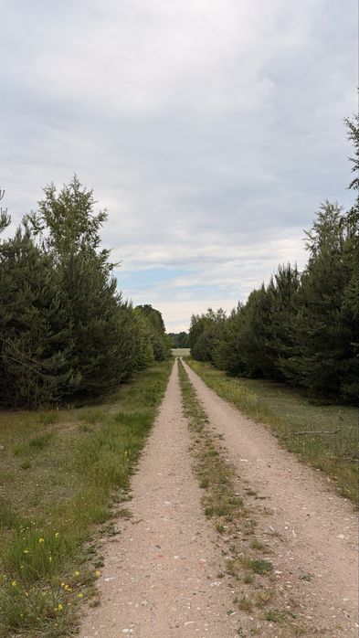 Unikalna działka budowlana 1091 m² pod Łodzią przy lesie - Więcej