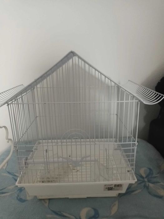 Gaiola pequena para passaros pequenos