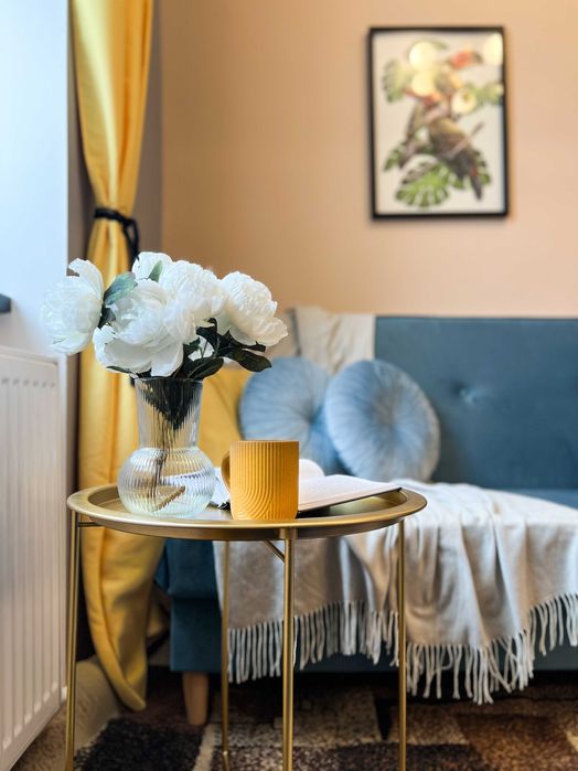 Łódź- Górna | 16,67 m² | Kawalerka | 1piętro