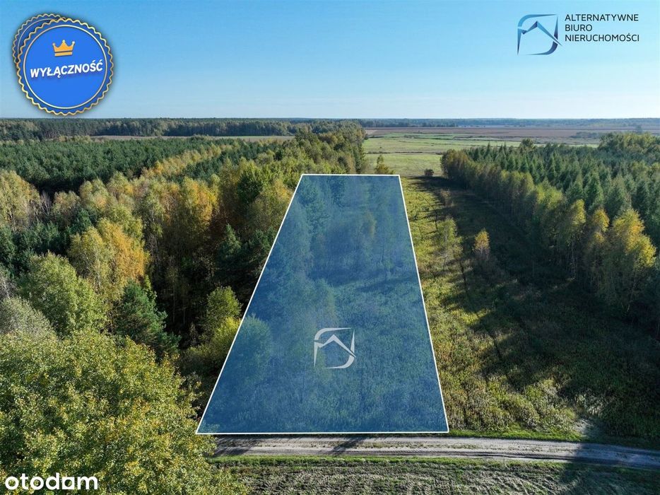 Działka inwestycyjna w otulinie lasu
