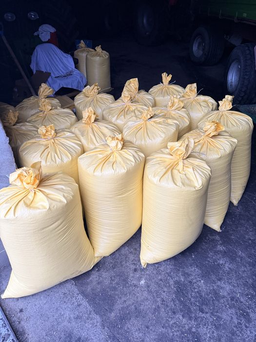 50kg OWIES OPAŁ, zamiennik pelletu DOWÓZ LUB ODBIÓR