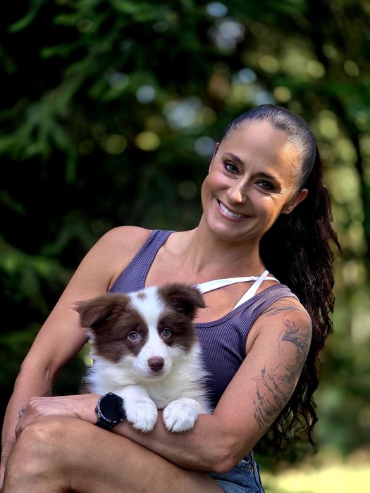 Czekoladowa piękność Border Collie – Kauri Whisper