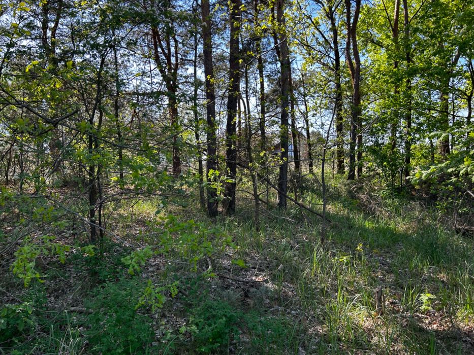 Działka rolno-leśna 3297m2 Radom ul Florentyny Jakubczak