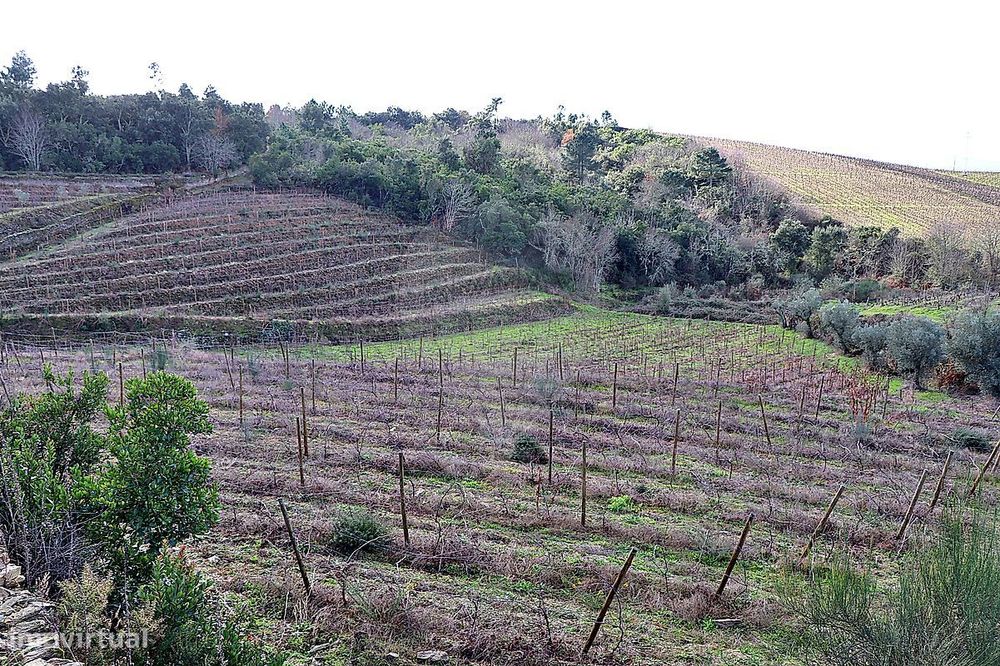 Quinta  para venda