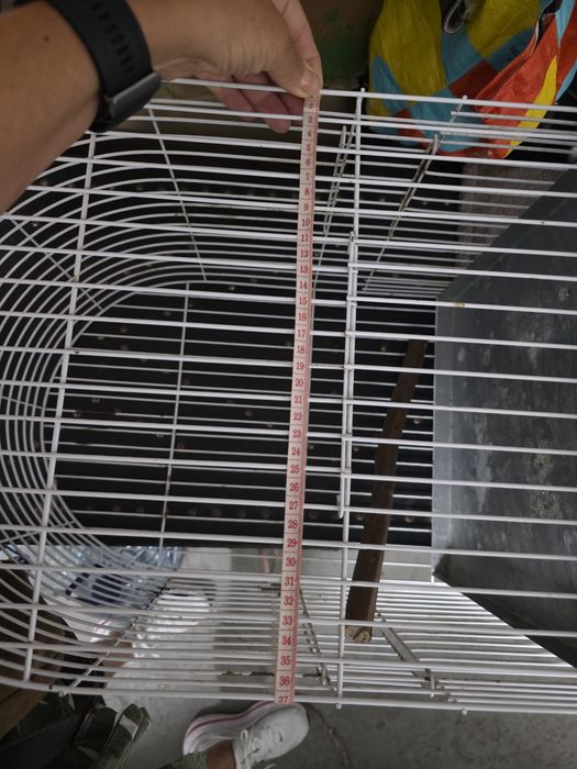 Gaiola para aves