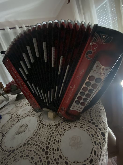 Concertina Dino Baffetti supertuga