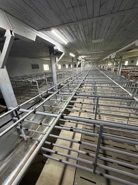 Ферма, господарські будівлі та споруди