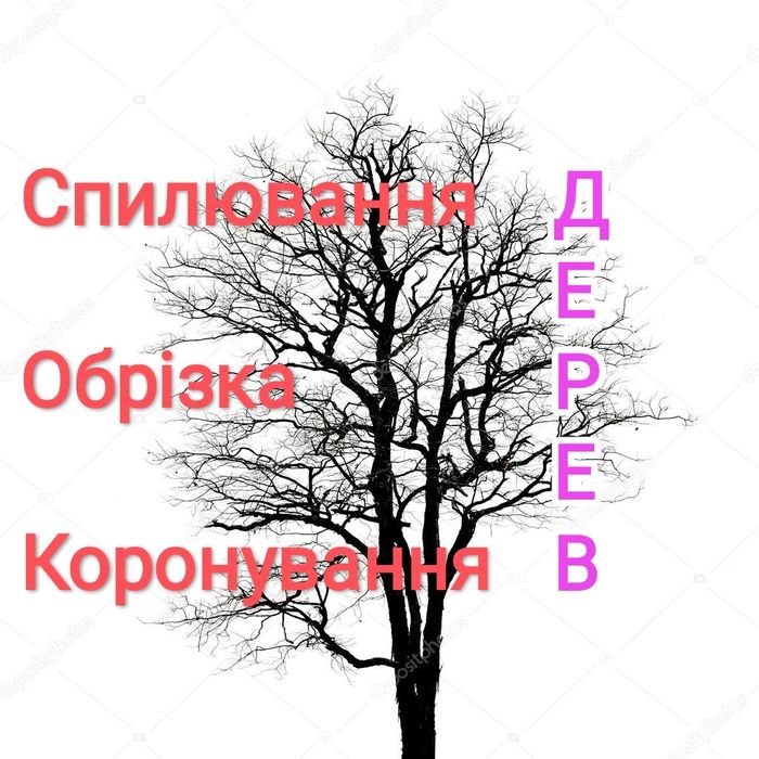 Спиляти Дерево, Спилить Дерево, Обрізка Дерев, Кронування Дерев