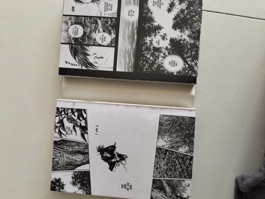 Mangás Vagabond usado