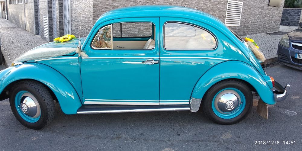 Alugo carocha para Eventos