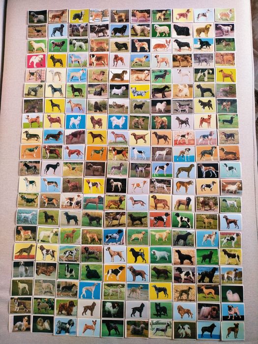 Альбоми Алладин от Panini , RoboCop та інші