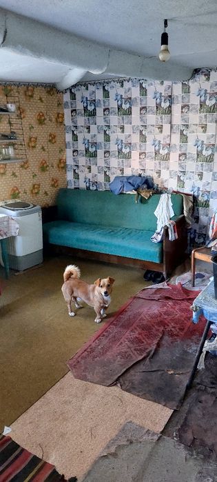 Продаж хати в сільскій місцевості