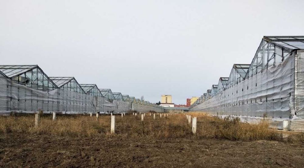 ЗНИЖЕНО ЦІНУ. Продаж тепличного комплексу