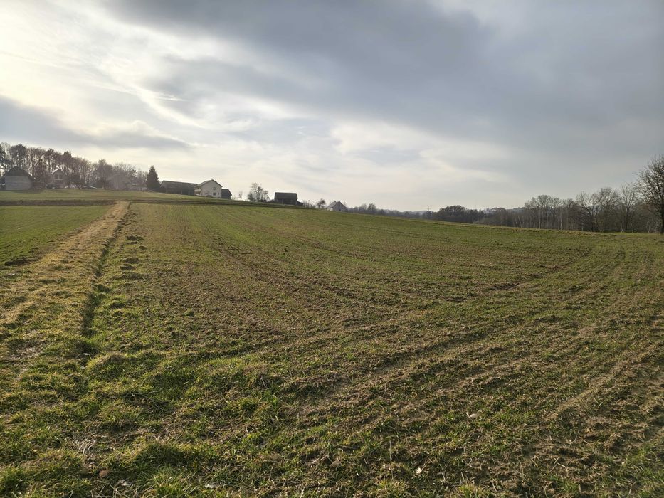 Działka rolna - 0,45 ha. Sławkowice, gm. Biskupice - Widok 2