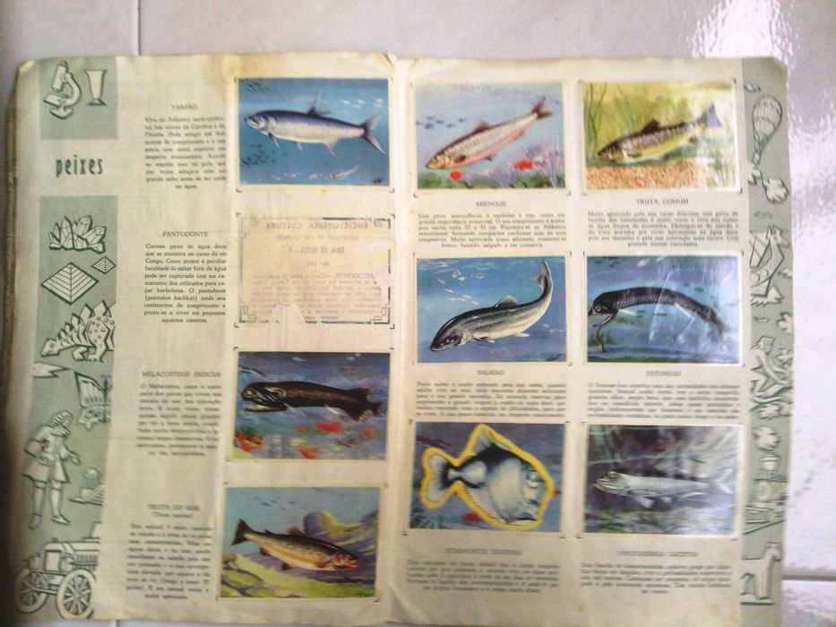 Cromos de: Enciclopédia da Cultura ou Historia da Humanidade de 1973