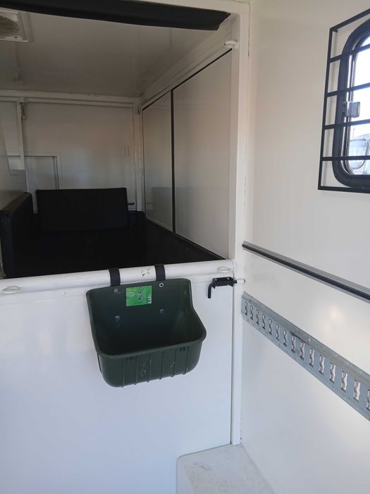 Renault Master transporte de cavalos