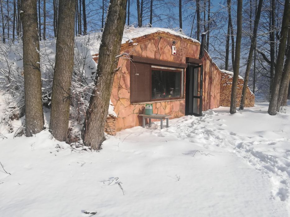 Domek Hobbita nad stawem